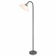 Торшер Lussole Lgo GRLSP-0508. 