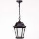 Уличный светильник подвесной Oasis Light 91405L Bl. 
