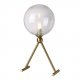 Настольная лампа Crystal Lux Andres LG1 Bronze/Transparente. 