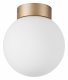 Настенно-потолочный светильник Lightstar Globo 812013. 