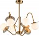 Потолочная люстра Indigo Jazz 11020/6R Brass V000165. 