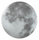 Настенно-потолочный светодиодный светильник Sonex Moon 3084/DL. 