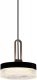 Подвесной светильник DeLight Collection P0855 P0855-1A black. 