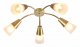 Потолочная люстра Escada Aquilegia 1100/5P Gold. 