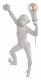 Настенный светильник Loft IT Monkey 10314W/B. 