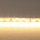 Светодиодная лента Lightstar 420503. 