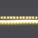 Светодиодная лента Lightstar 420803. 