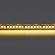 Светодиодная лента Lightstar 421023. 