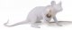 Интерьерная настольная лампа Seletti Mouse Lamp 15222. 
