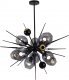 Потолочная люстра DeLight Collection Burst 9720P-10S black/smoky. 