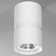 Потолочный светодиодный светильник Elektrostandard Kayo 25049/LED 12W 4000К белый a064730. 