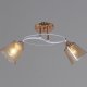 Потолочная люстра Reluce 06003-0.3-02 FG+WT. 