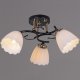 Потолочная люстра Reluce 10134-0.3-03 BK+FG. 