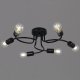 Потолочная люстра Reluce 01742-0.3-06 BK. 