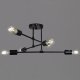 Потолочная люстра Reluce 01648-0.3-06 BK. 