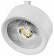 Плафон металлический Lightstar Alta Pro 215636. 