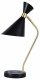 Интерьерная настольная лампа Zortes Desklight ZRS.1066.04. 