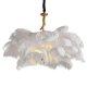 Подвесной светильник LArte Luce Feather Lamp L03408.02. 