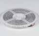 Лента светодиодная DesignLed DSG3120 00-00002369. 