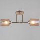 Потолочная люстра Reluce 51460-0.3-02 FG. 