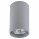 Точечный накладной светильник Lightstar Rullo 214439. 