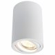 Потолочный светильник Arte Lamp A1560PL-1WH. 