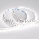 Светодиодная лента Arlight 5 метров RT6-5050-96 24V Day White 3x (480 LED) 017424. 