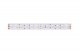 Светодиодная лента DesignLed LUX DSG5120-24-RGB+WW-33. 