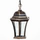 Уличный светильник подвесной Oasis Light 91305L Gb. 