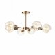 Потолочная люстра Evoluce Gentore SLE155302-06. 