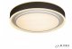 Потолочный светильник iLedex Summery B6233-91W/520 WH. 