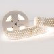 Лента светодиодная [2.5 м] Arlight RT 2-2500 24V White6000 5x2 (2835, 875 LED, LUX) 019082(B). 
