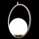 Подвесной светильник Loft IT Glob LOFT2600-B. 