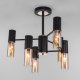 Потолочная люстра Eurosvet Tesoro 70125/6 черный. 