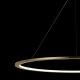 Подвесной светодиодный светильник Loft IT Ring 10014XXL. 