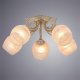 Потолочная люстра Arte Lamp Sofia A7060PL-5WG. 