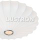 Потолочный светильник Arte Lamp Cocoon A6090PL-2WH. 