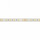 Лента светодиодная [5 м] Arlight 021398(2). 