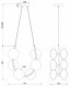 Подвесная люстра Freya Perlina FR4005PL-06B2. 