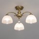 Потолочная люстра Citilux Франческа CL417133. 