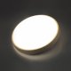 Настенно-потолочный светодиодный светильник Sonex Losta 7607/AL. 
