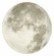 Настенно-потолочный светодиодный светильник Sonex Moon 3084/CL. 