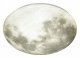 Настенно-потолочный светодиодный светильник Sonex Moon 3084/DL. 