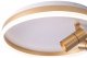 Потолочный светильник Zortes Raizy ZRS.1888.02. 