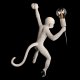 Настенный светильник Loft IT Monkey 10314W/A. 