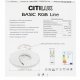 Настенно-потолочный светильник Citilux Basic Line CL738240EL. 