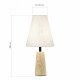 Настольная лампа декоративная ST-Luce Earthy SL1194.404.01. 
