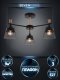 Потолочная люстра Seven Fires Olban SF3389/3C-BK-WD. 