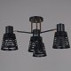 Потолочная люстра Reluce 06074-3.3-04 BK+FG. 