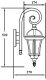 Настенный фонарь уличный Oasis Light ROMA S 95202S/18 Gb. 